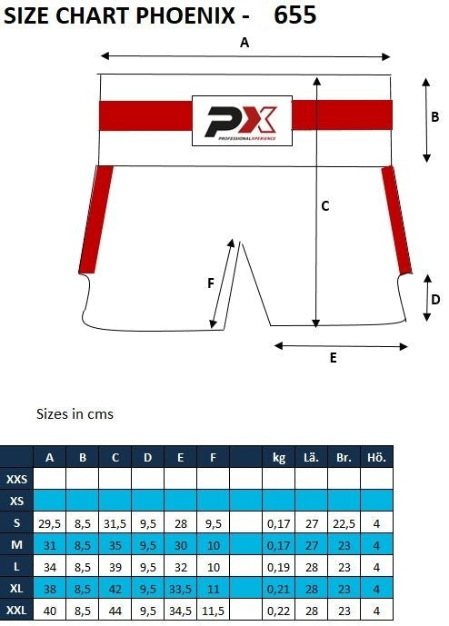 Phoenix PX LEGACY Thai Shorts blå