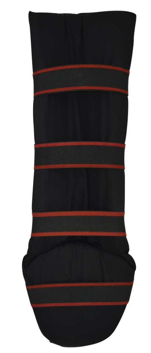 Phoenix PX Muay Thai Benskydd