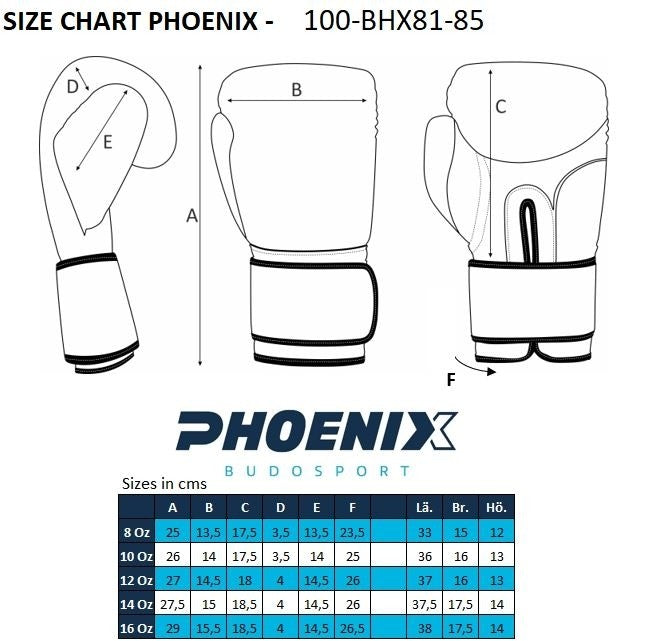Phoenix PX LEGACY 2 Boxhandskar, konstläder, stenfärg