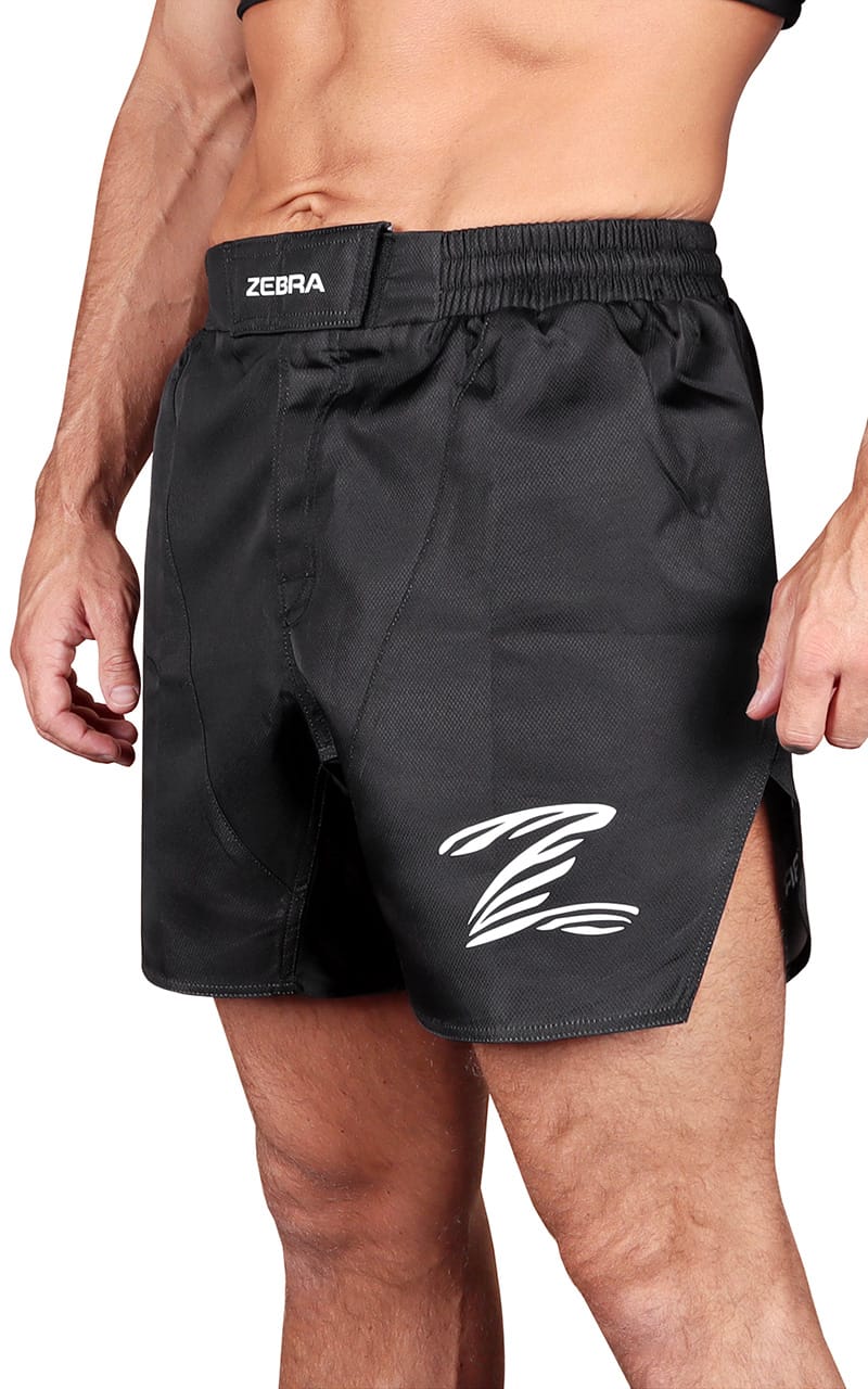 ZEBRA Shorts Performance, svart
